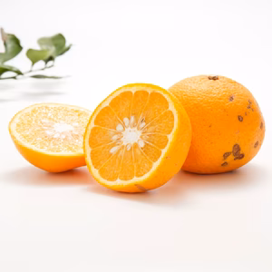 【農薬不使用・ワケあり】今が食べごろ！完熟甘夏