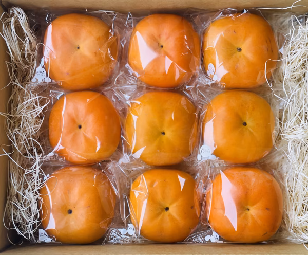 福岡県限定生産！冷蔵柿【秋王】2Lサイズ　9個(常温発送)