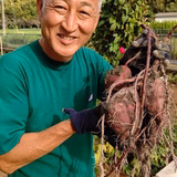 松村朗宏 | 京都シャルールファーム