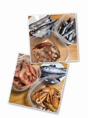 みんなの投稿の画像