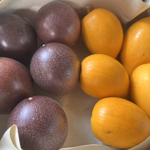 沖縄県産 パッションフルーツ/カニステル