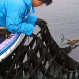 長塚良治 | 丸良水産
