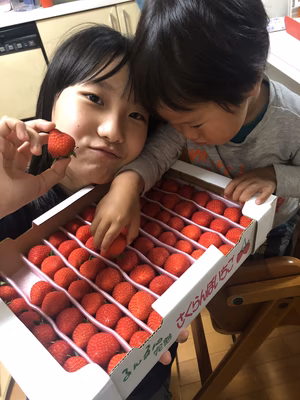 みんなの投稿の画像