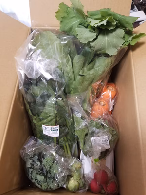 みんなの投稿の画像