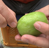 【半額セール】甘っ！これがキウイ⁉ ハニーキウイ〈姫なり〉竹