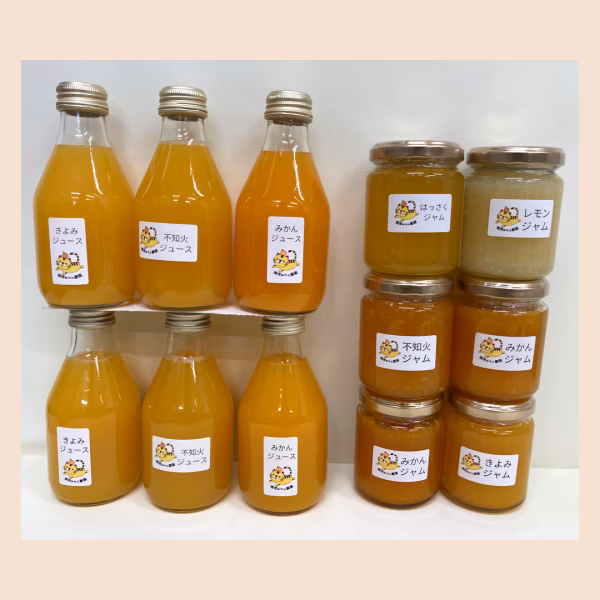 【2026.05発送】無添加！店主にお任せ☆柑橘ジャムandジュースセット