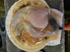 ３年貝ホタテ・殻付き牡蠣セット