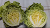 春キャベツ（小さめサイズ）　3玉