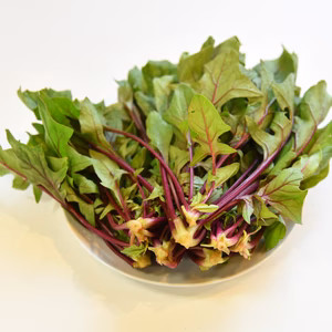 和らぎ農法　赤軸ほうれん草