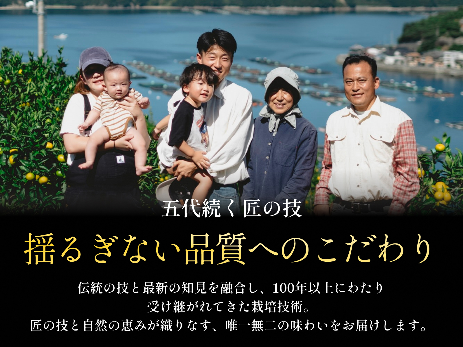 太陽の恵みをギュッと凝縮】ブラッドオレンジ 【家庭用】｜みかんの