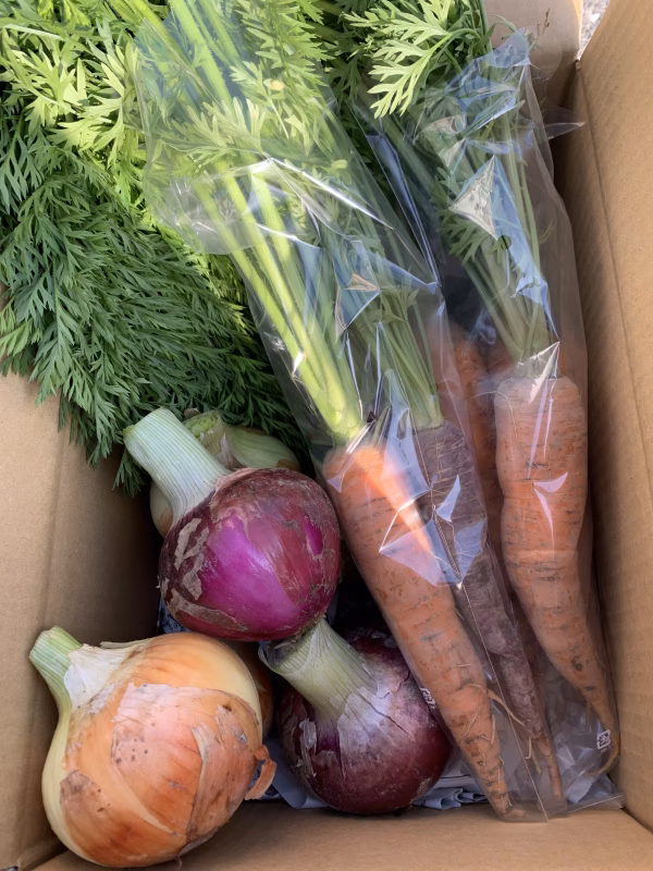 無農薬無化学肥料　採れたて新鮮‼︎ 玉ねぎ＆葉付き人参