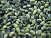 【鞍掛豆　２００g】ユニークな模様とコリコリ食感が特徴の大豆です