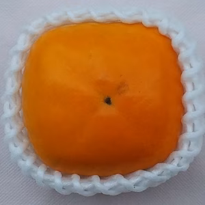 【特大種なし柿】６個箱入和歌山紀の川産「常温便」