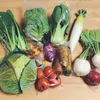 旬☆彩　元気★野菜セット～農薬/化学肥料・不使用