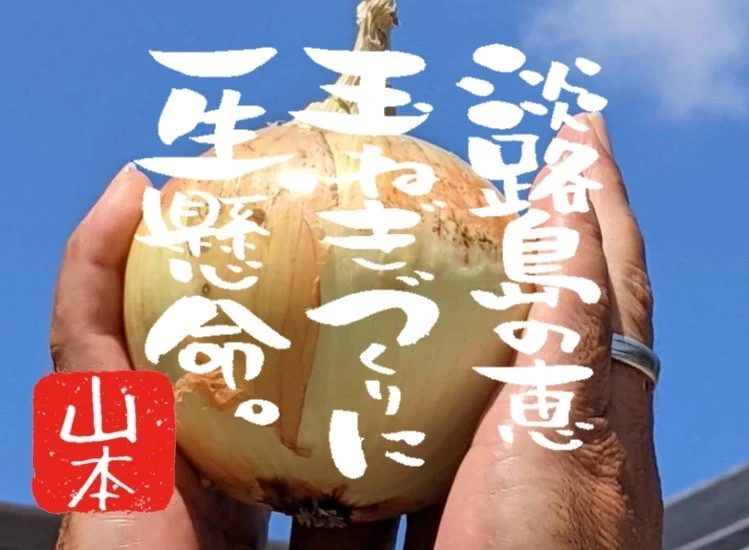 淡路島の玉ねぎ