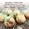 【リピーター様専用】淡路島産たまねぎ 特別栽培 兵庫県認証食品 レシピ付き！