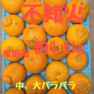 静岡県産　不知火　家庭用　約4.5  中.大バラバラ
