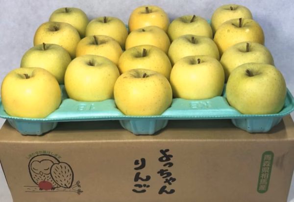 シナノゴールド自家消費用 約4.5Kg青森県産【ご家庭用】