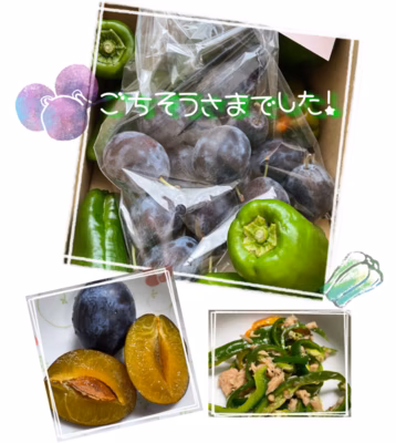 みんなの投稿の画像