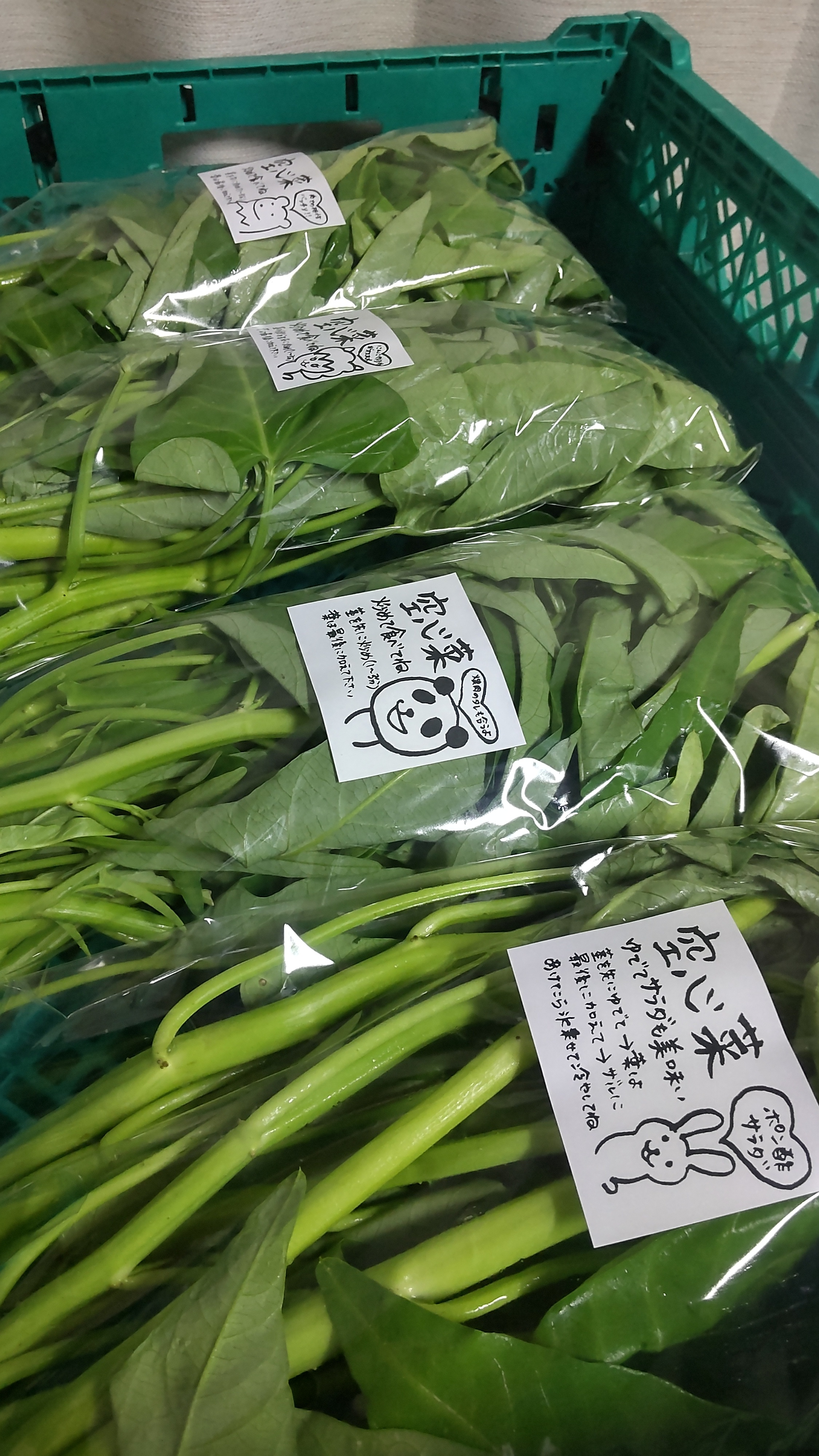 新鮮空芯菜5キロ+かぼちゃ葉っぱ5キロ+つるむらさき 4キロ 新鮮 空芯菜 5キロ+つるむらさき 5キロ+かぼちゃ葉っぱ4キロ