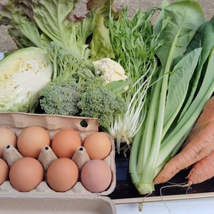 平飼い有精卵と旬野菜セット便（お試し）　わいわいファーム