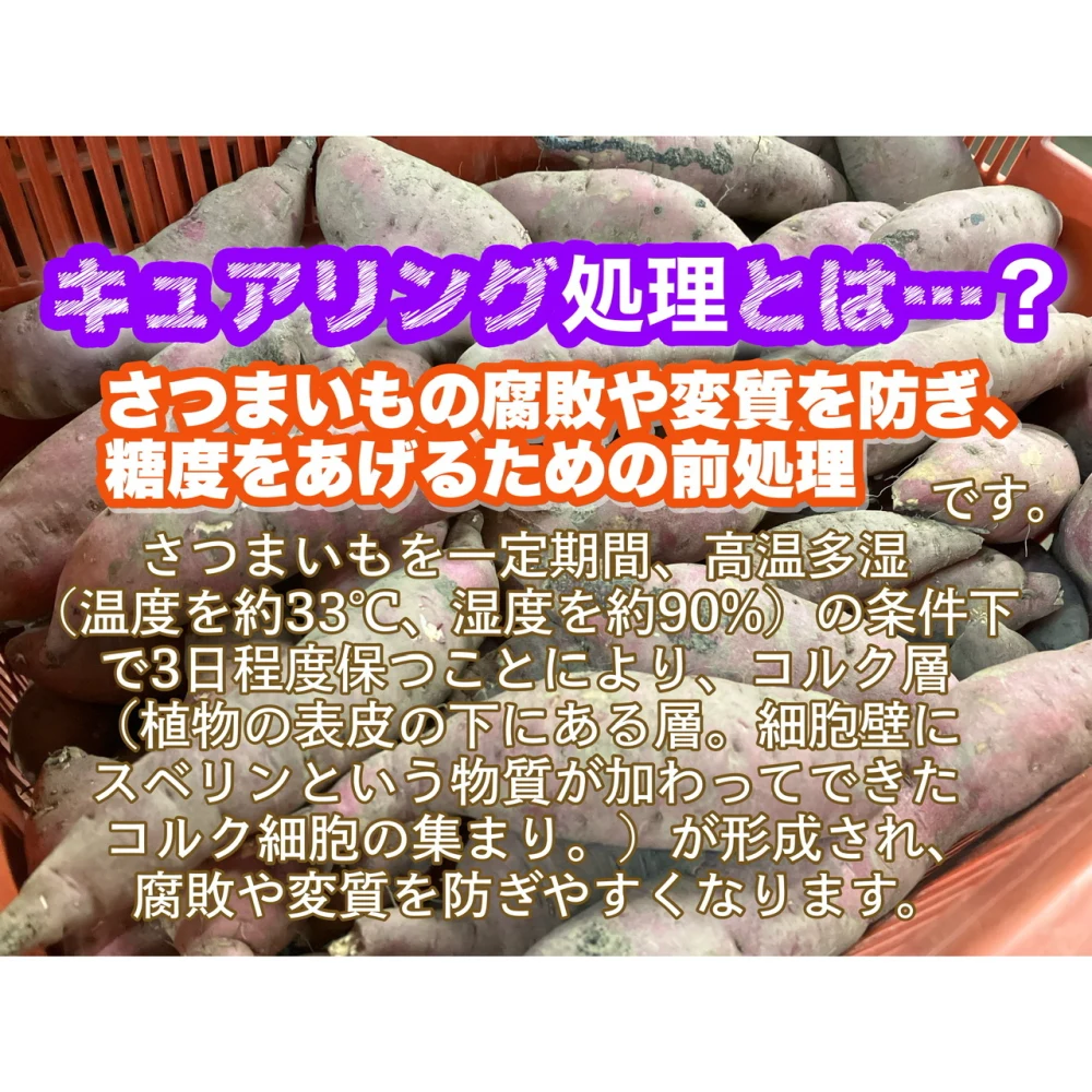 長期熟成で蜜が溢れる焼き芋「とろけるお芋」内容量約1kg〜
