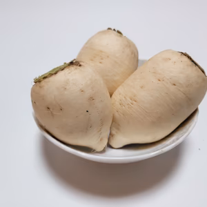 おろしそばに最適! 福井県産 辛味大根(品種名:辛味そば大根) 4kg