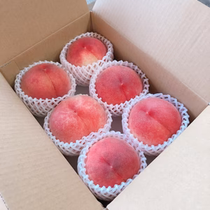 白桃　浅間白桃2キロ箱　新鮮もぎたて山梨の桃