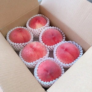 白桃　浅間白桃2キロ箱　新鮮もぎたて山梨の桃