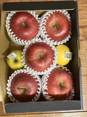 みんなの投稿の画像