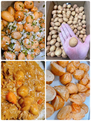 みんなの投稿の画像