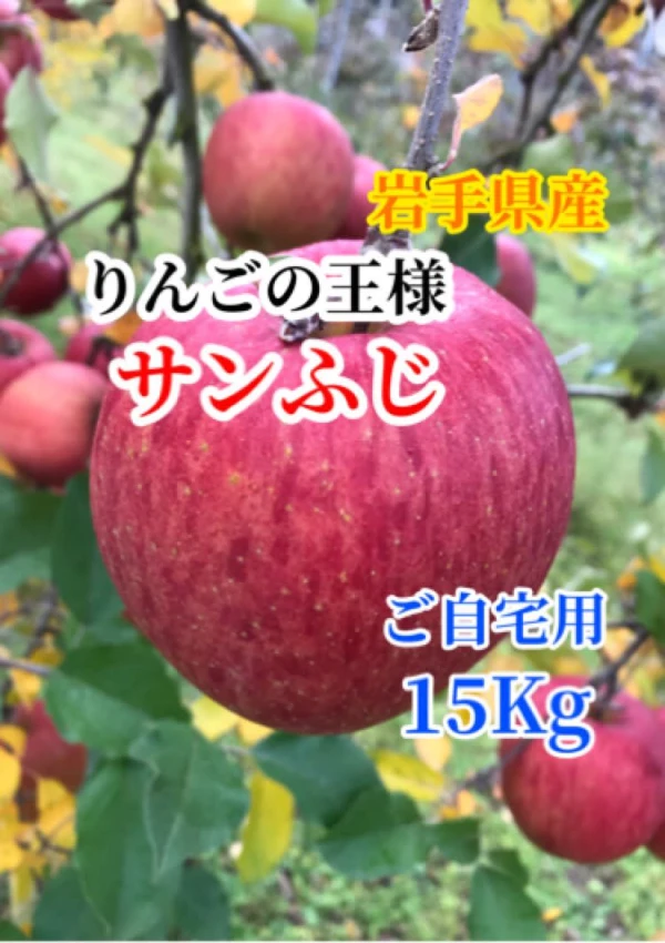 りんごの王様 サンふじ 完熟りんご 家庭用 15Kg