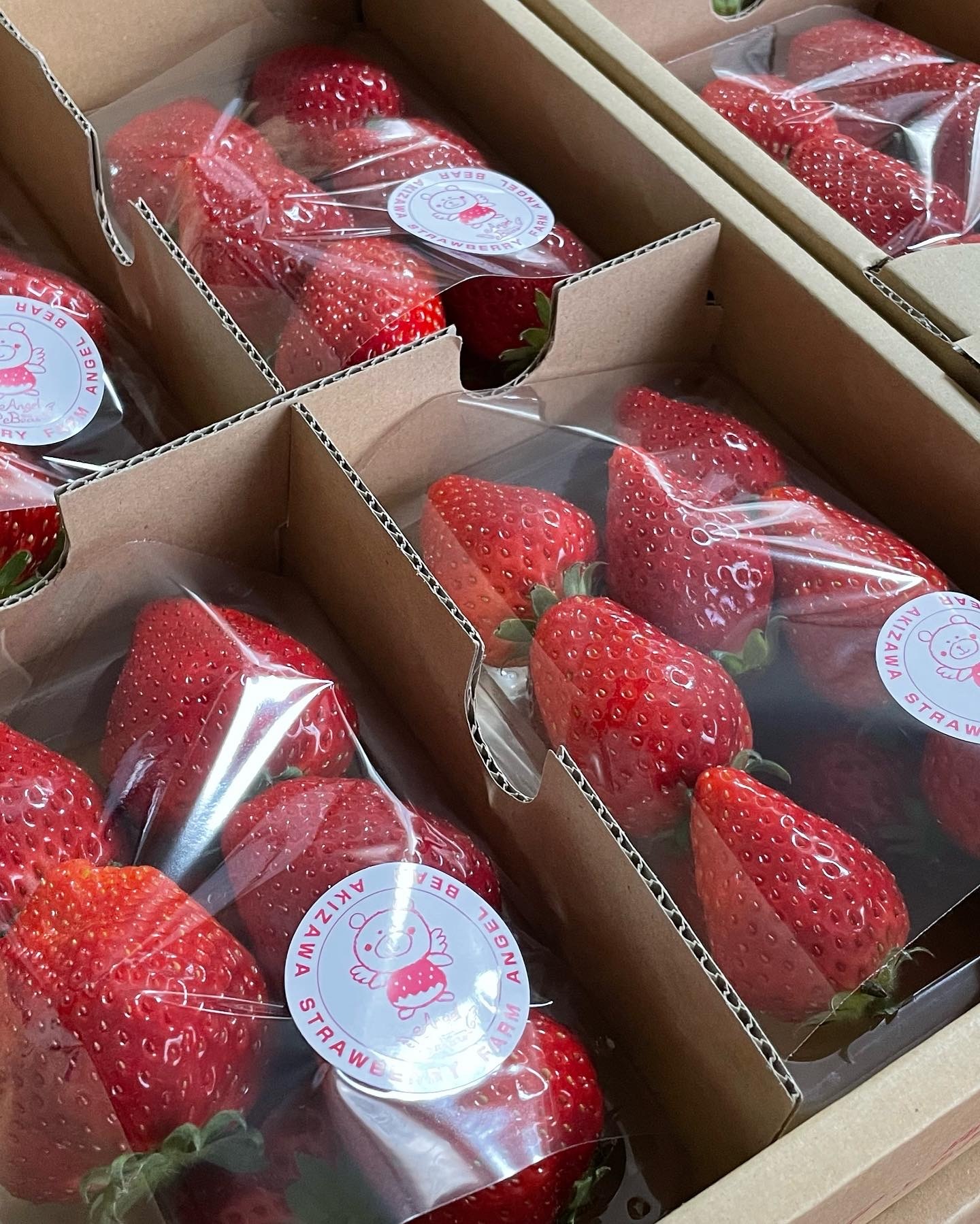 再々販】真っ赤な宝石「甘熟・濃厚とちおとめ」バラエティ4パック入