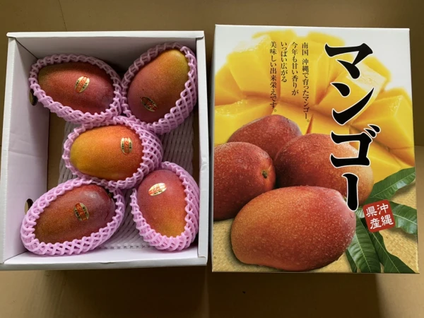 とにかく甘い!! [化粧箱入り]　沖縄県産マンゴー　1kg・2kg