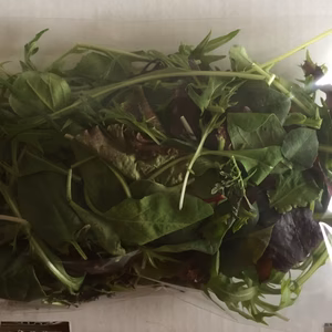 きれいな水と空気で育ったベビーリーフ