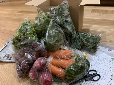 みんなの投稿の画像