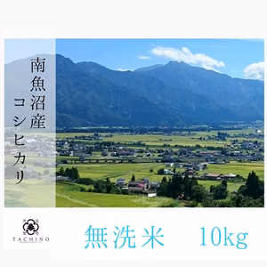 令和5年・南魚沼産コシヒカリ　無洗米10kg