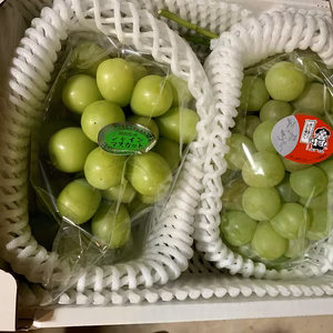 岡山県産早期シャインマスカット&桃太郎ぶどう食べ比べセット