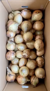 【やみつき白子たまねぎ】訳あり 4.5kg〜