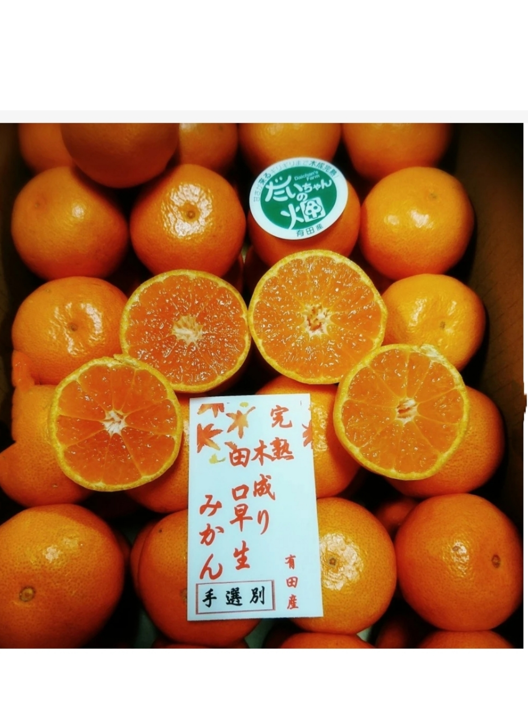 みかんの通販・お取り寄せ商品｜果物｜ポケットマルシェ｜産地