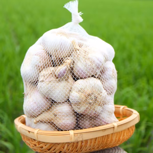 山形最上伝承野菜　最上赤にんにく　ニンニク