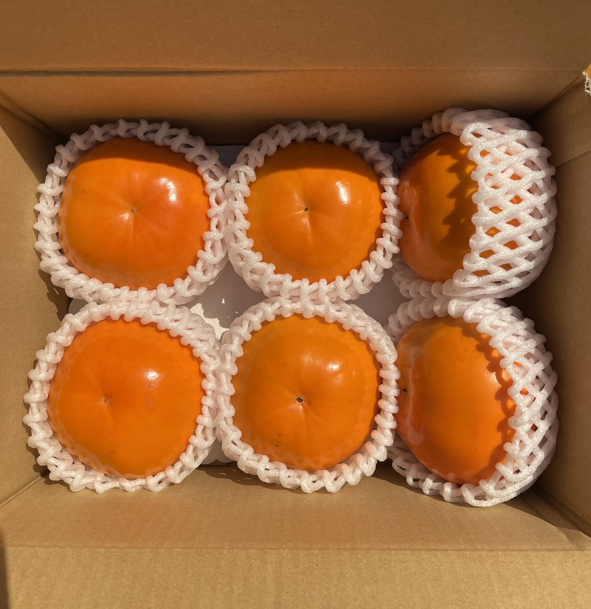 [送料500円引き]紀州てまり(柿) ちょい小玉 S〜Mサイズ お試し 6玉入り S〜Mサイズ 6玉入り