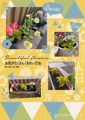 みんなの投稿の画像