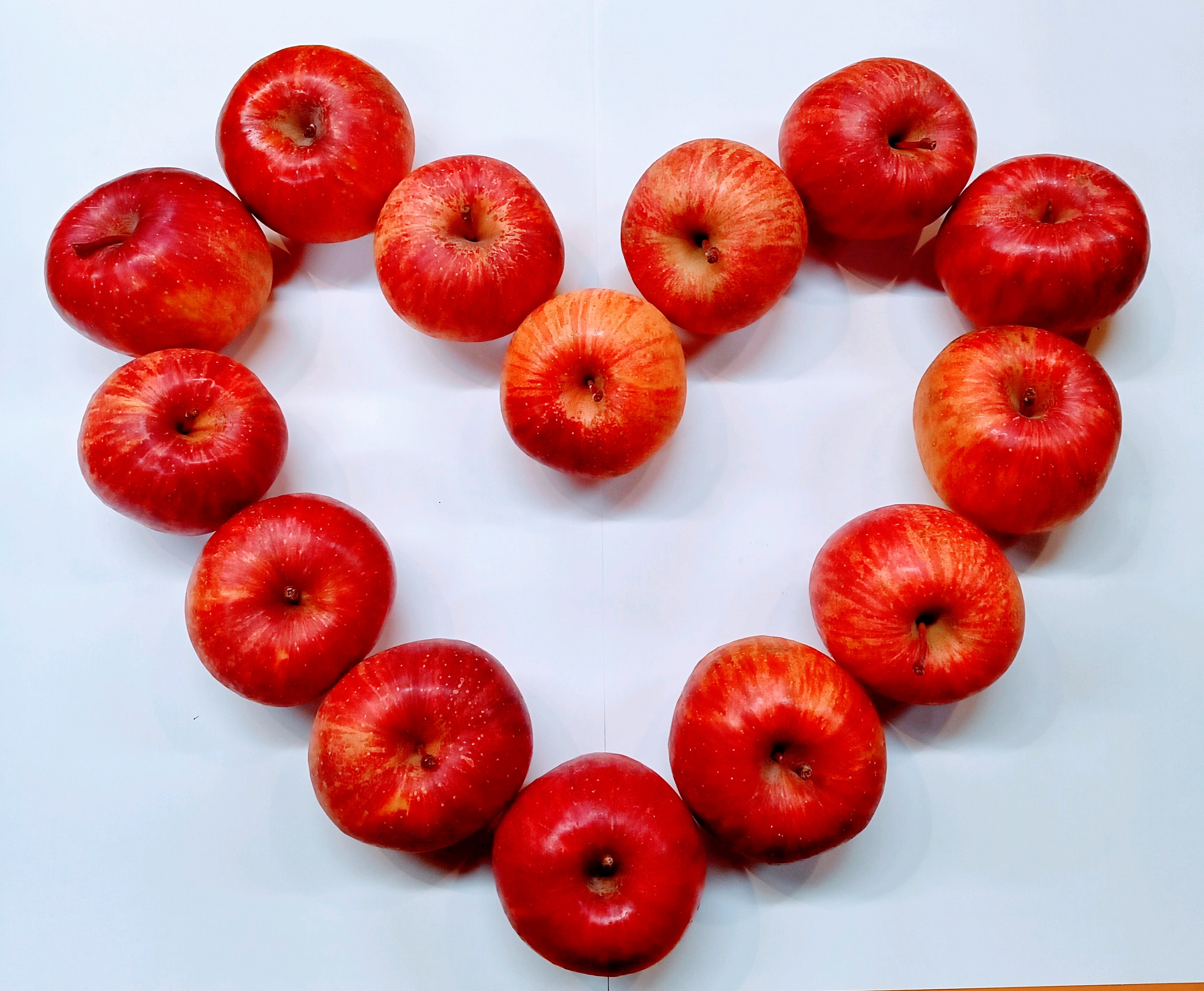 タブレット アップル〜小さいサンふじは好きですか?〜 10キロ