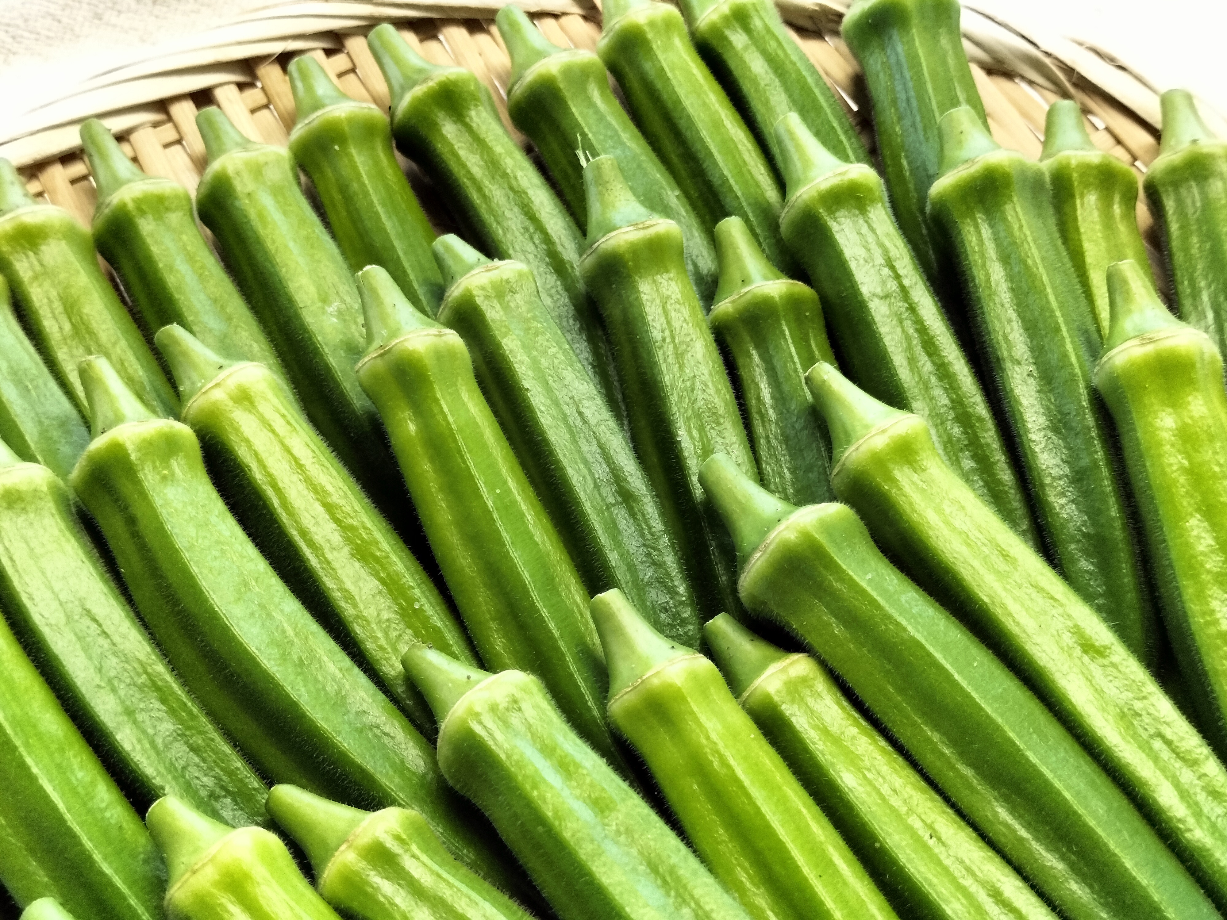 オクラの通販・お取り寄せ商品｜野菜｜ポケットマルシェ｜産地