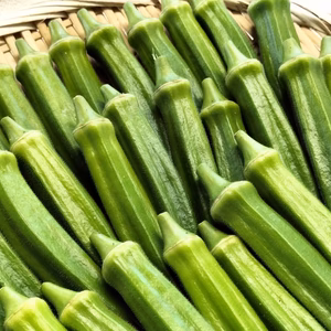 オクラ 柔らかトロうま！口の中で弾けるプチプチの種！