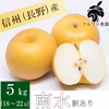 【ご家庭用 訳あり5kg】 南水  18〜22玉