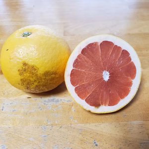 完熟グレープフルーツルビー　美味しさの秘密は果皮にあり