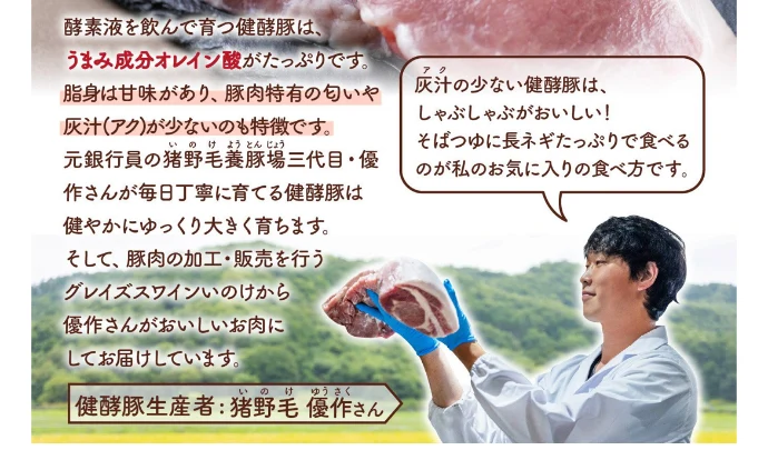 2023福袋】健酵豚たっぷり福袋｜肉の商品詳細｜ポケットマルシェ｜産直