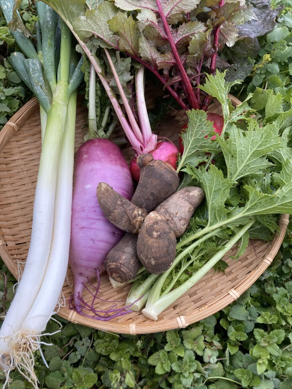 【能登復興支援】冬の能登からお届け♪やさしい野菜セット(7種)